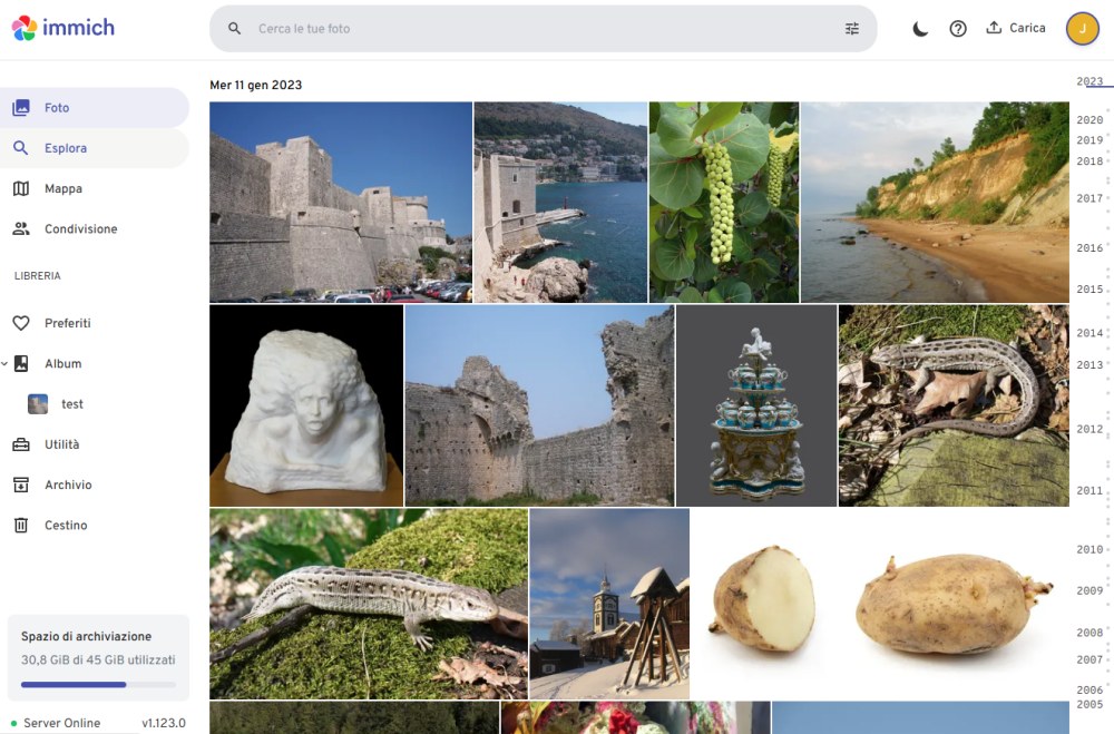 Immich alternativa Google Foto open source