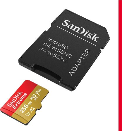 microSD SanDisk con adattatore SD - 1