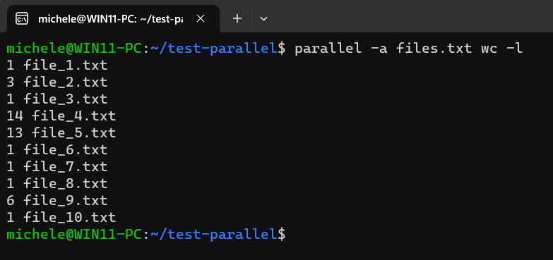 GNU Parallel esempio parallelizzazione