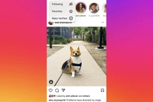 Meta Verified - Filtro contenuti feed Instagram