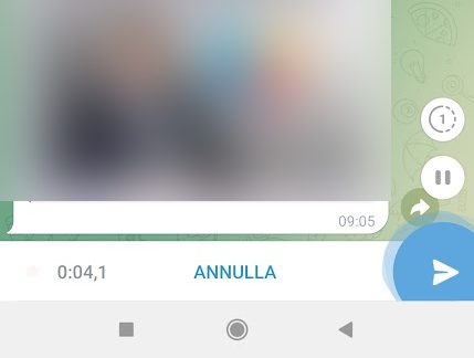 Telegram, messaggi effimeri video e vocali