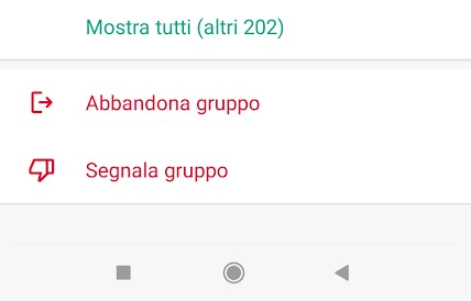 Segnalare gruppo WhatsApp