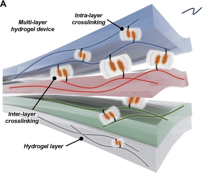 Schema idrogel batteria flessibile e comprimibile