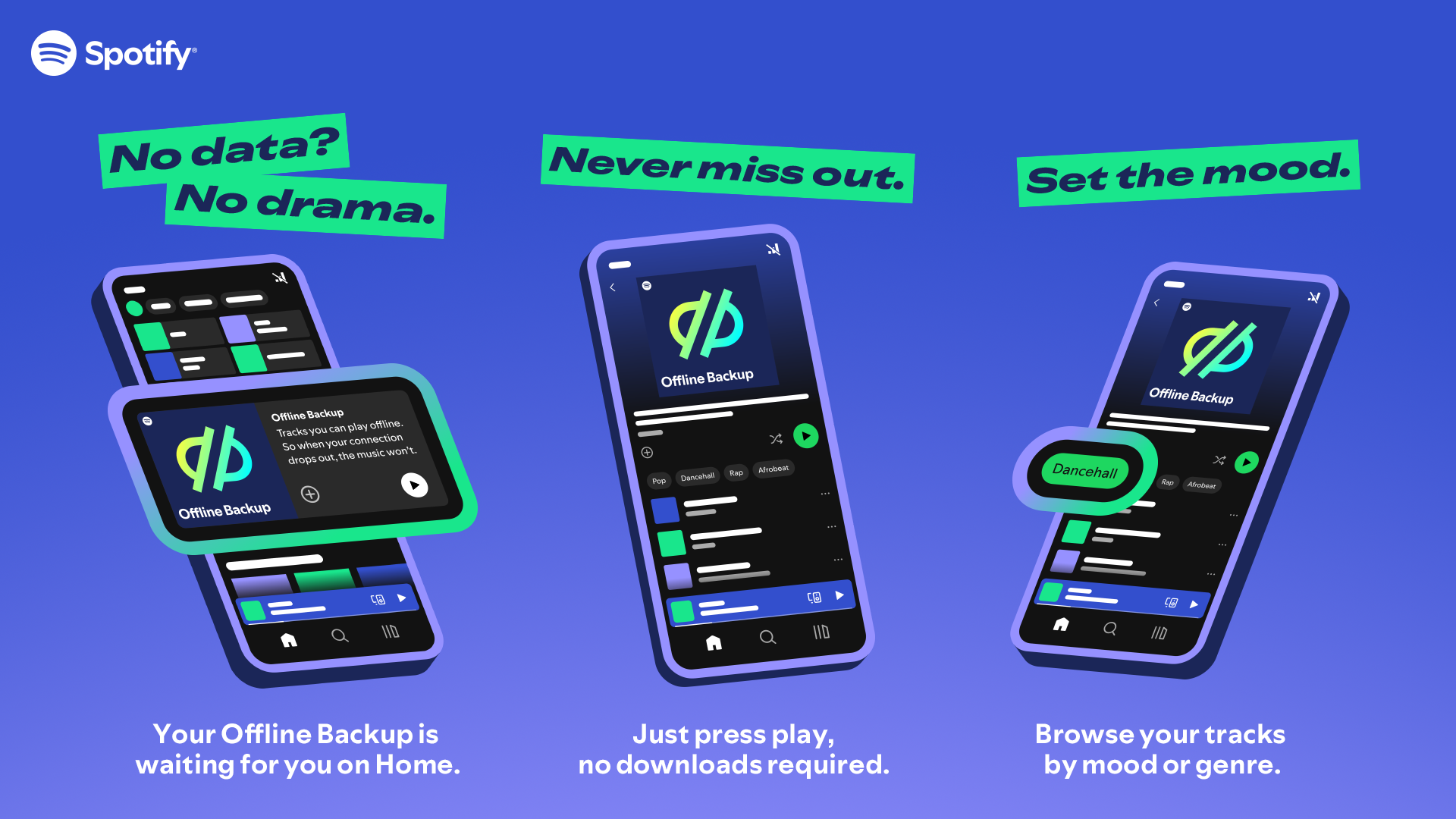 Spotify Offline Backup - Infographic