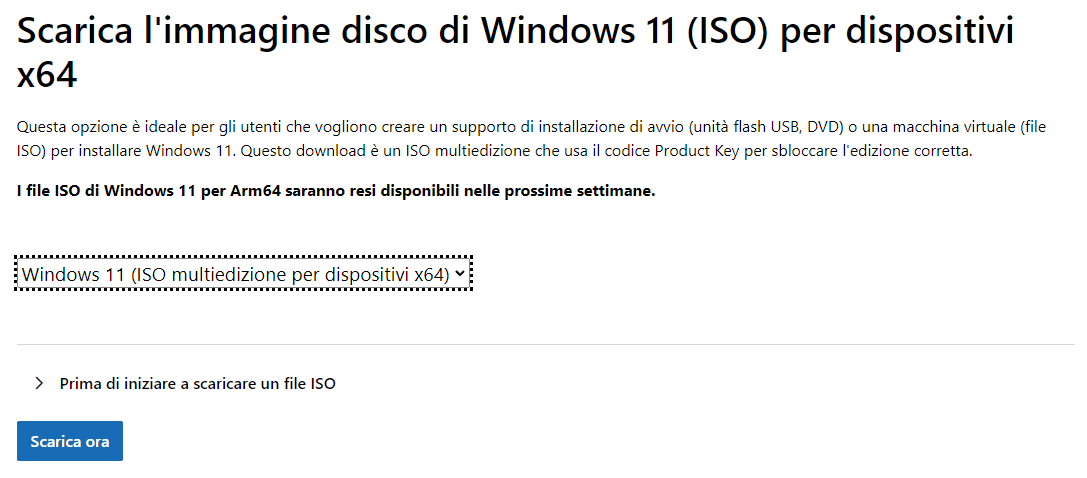 ISO Windows 11 download in italiano