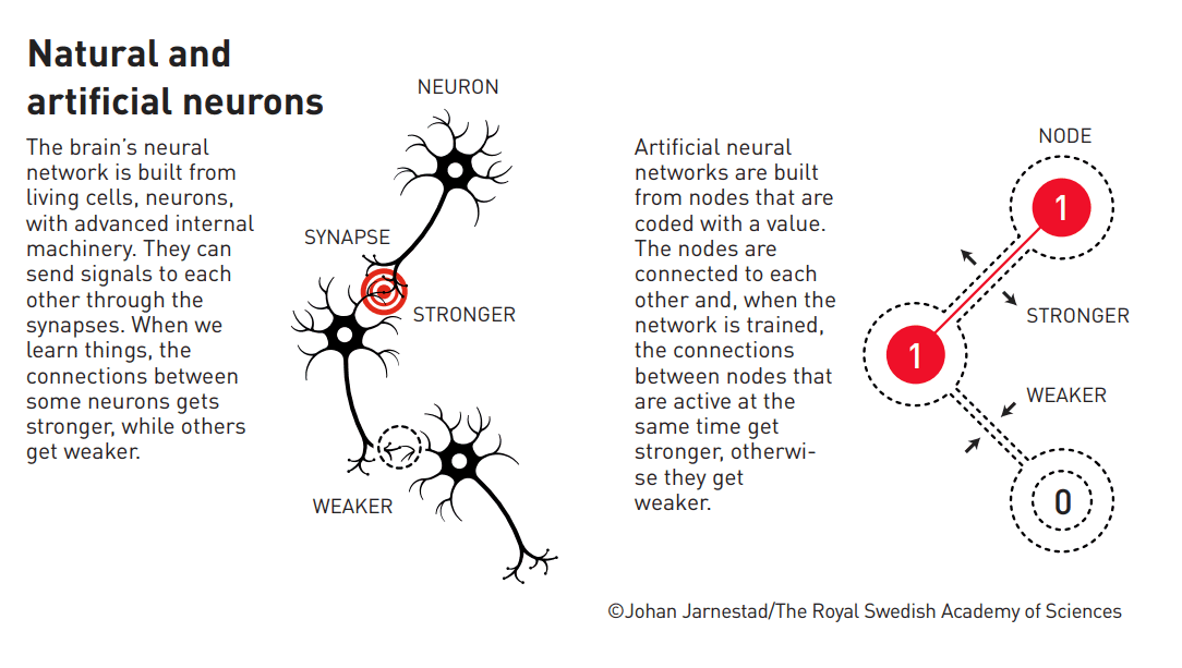 Neuroni reti neurali artificiali Nobel fisica 2024