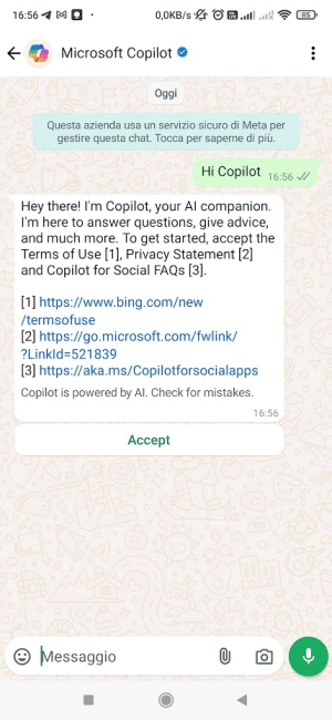 Termini uso Copilot WhatsApp