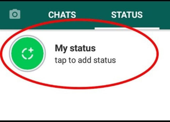 WhatsApp aggiornamento stato 2