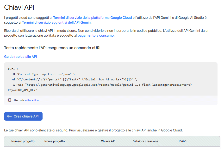 Chiave API Google Gemini 2.0