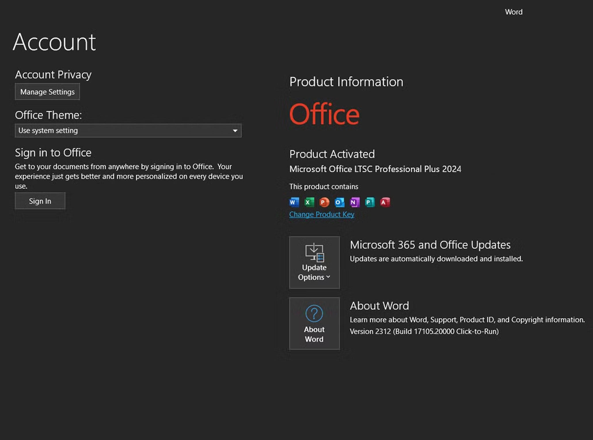 Installare Office 2024 Professional Plus