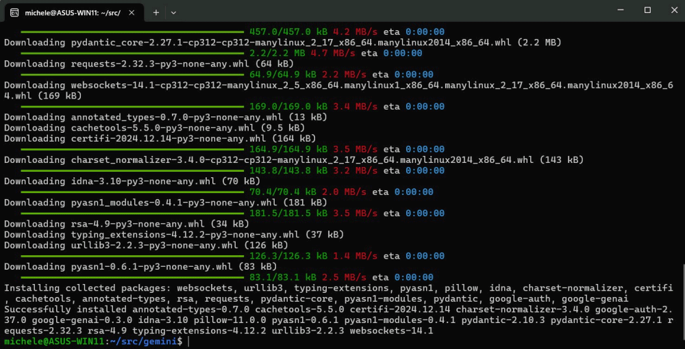 Installazione libreria Gemini AI su Python