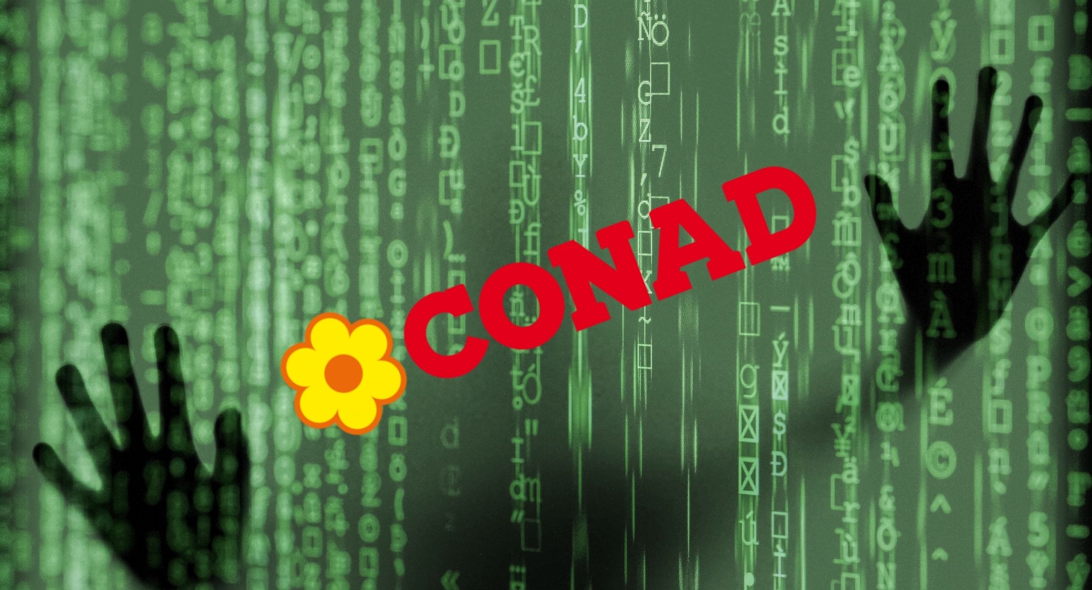 Conad attaccata dagli hacker: rubati i documenti di clienti e risorse umane