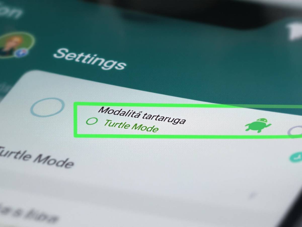 WhatsApp modalità tartaruga 