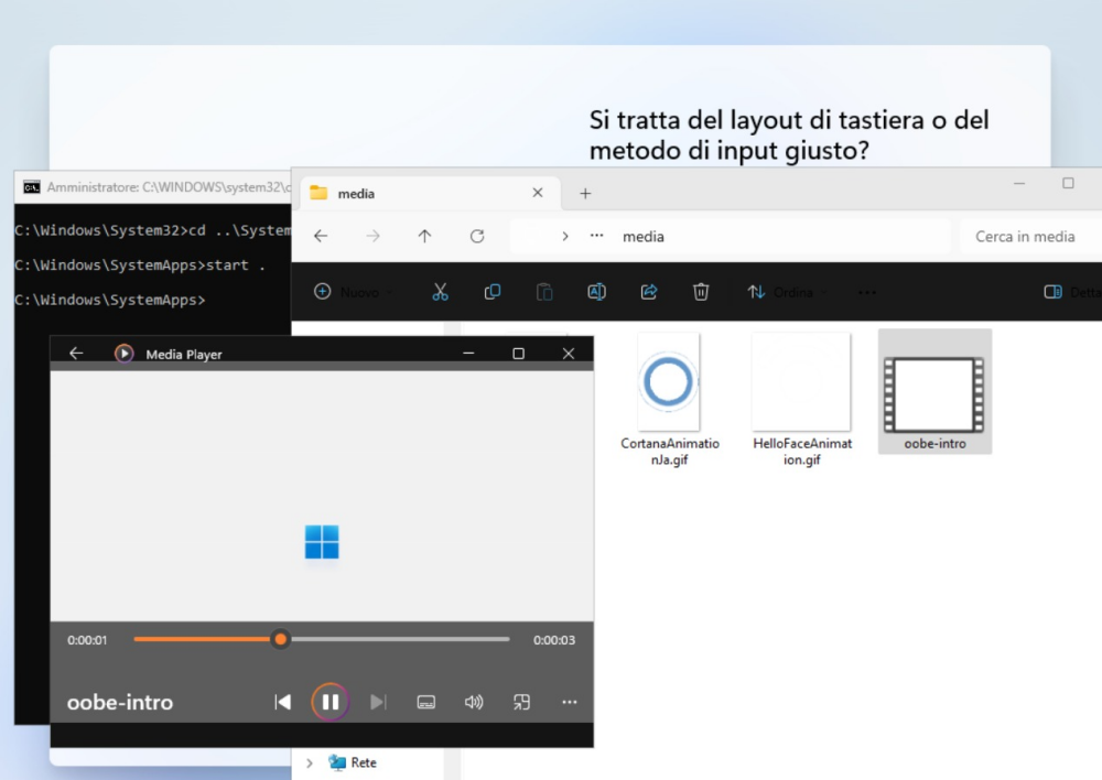 Animazione introduttiva OOBE installazione Windows 11