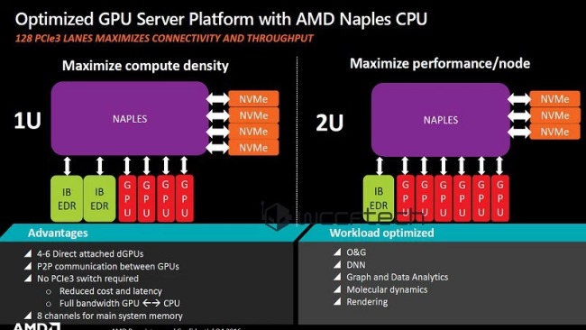 AMD Naples, sfida a Intel anche sul mercato server