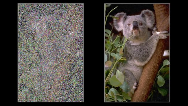 L'intelligenza artificiale NVidia corregge le foto affette da rumore digitale